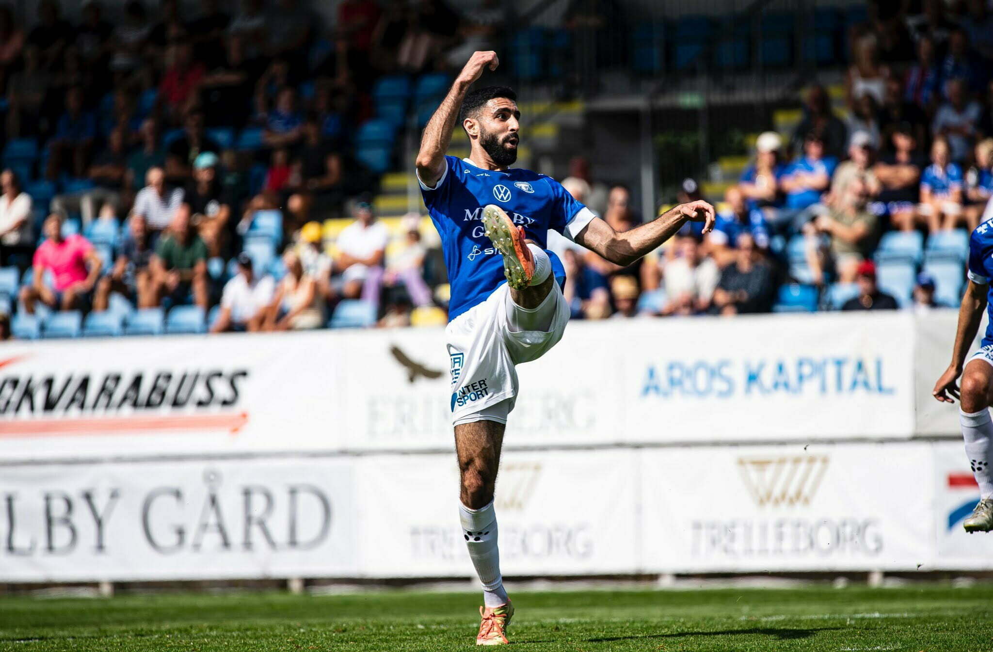 mouhammed ali-dhaini Trelleborgs FF