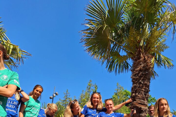 Trelleborgs FF vid palmerna